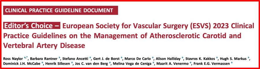 ESVS 2023 Clinical Practice Guidelines on the Management of Atherosclerotic Carotid and Vertebral Artery Disease