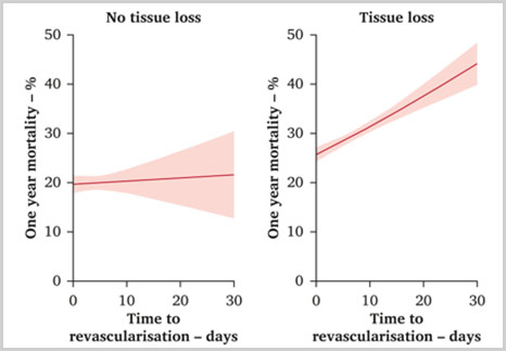 Delays to revascularisation: Figure 2