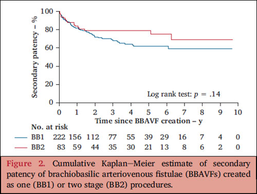 Outcomes of Single or Two Stage Brachiobasilic Arteriovenous Fistula : A Nationwide Swedish Registry Study