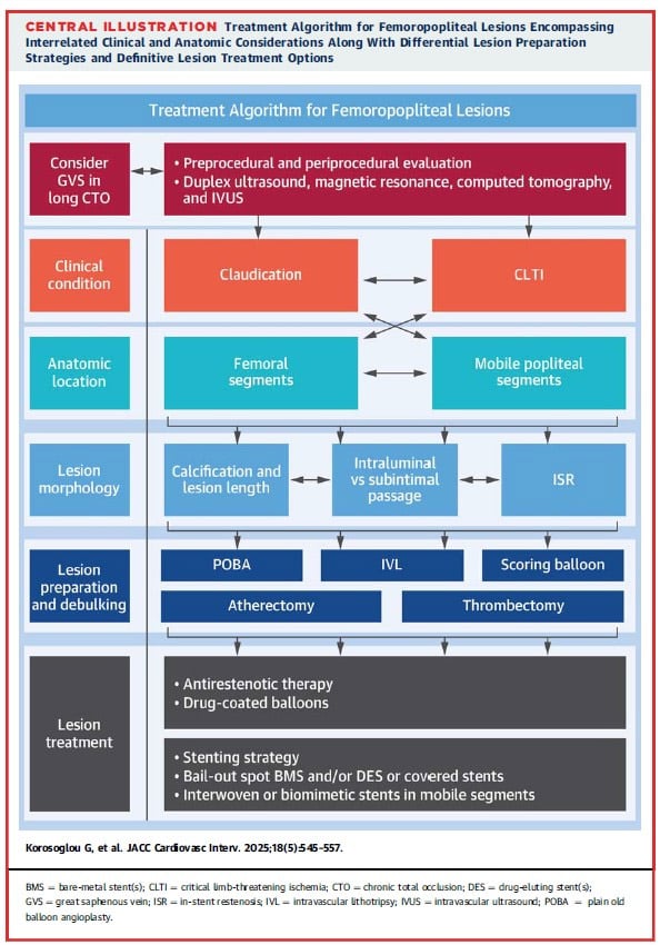 Global algorithm for the endovascular treatment of chronic femoropopliteal lesions