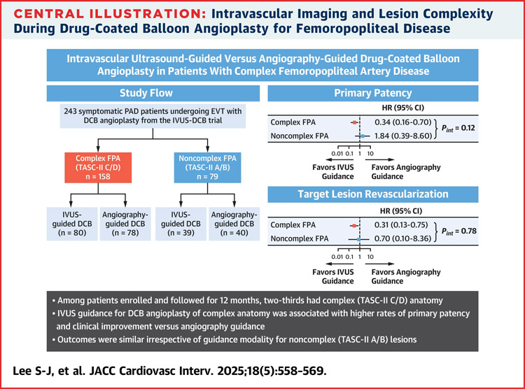 IVUS-guided vs angiography-guided drug-coated balloon angioplasty in patients with complex femoropopliteal artery disease