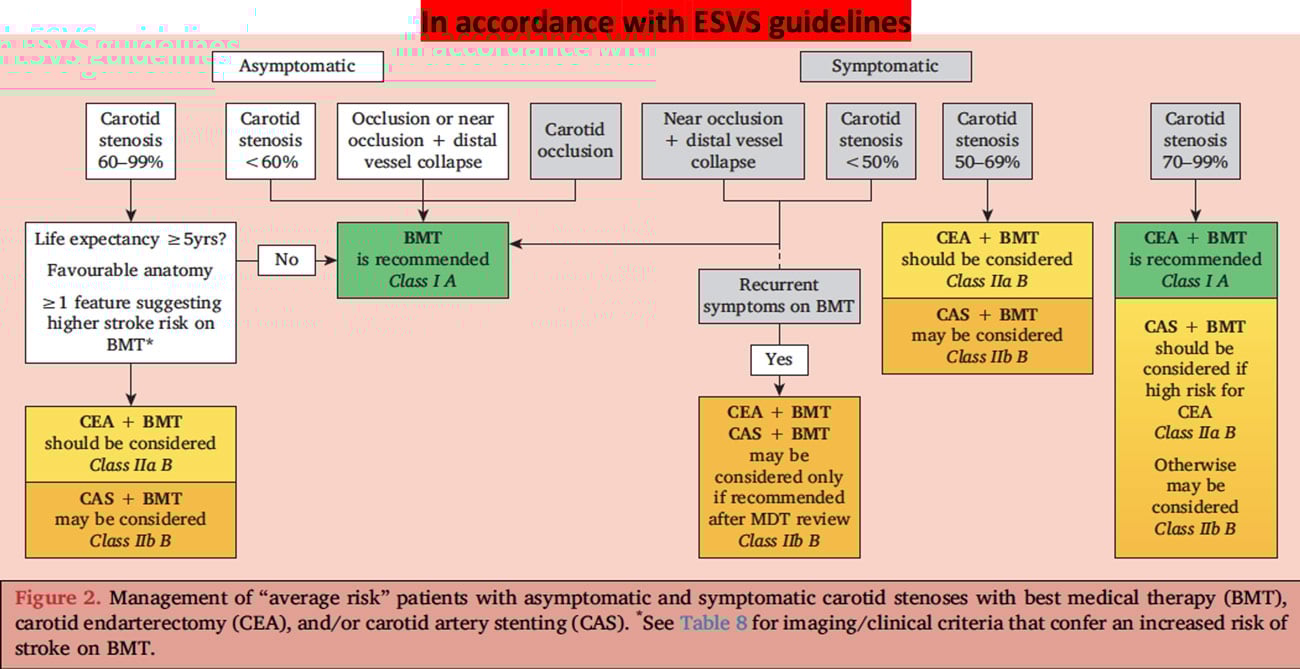 Carotid treatment: In accordance with ESVS guidelines