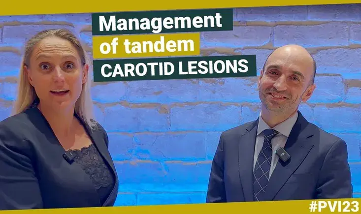 Management of tandem carotid lesions
