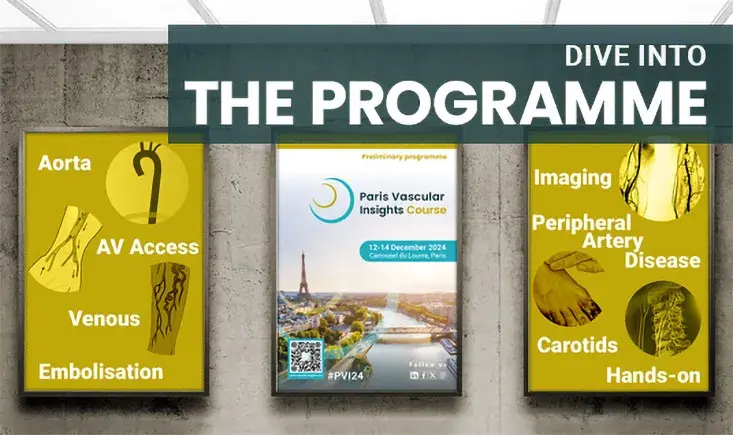 PVI Course: Programme 2024