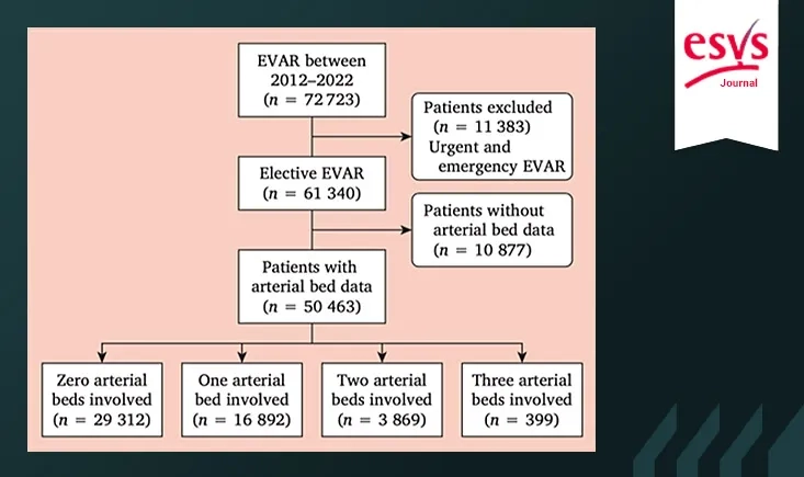 Presence of atherosclerosis in multiple arterial beds is associated with increased mortality in patients undergoing endovascular aortic aneurysm repair