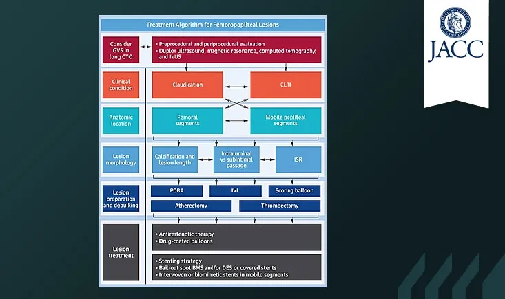Global algorithm for the endovascular treatment of chronic femoropopliteal lesions