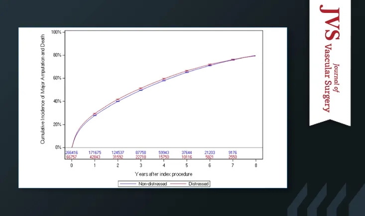 Impact of socioeconomic wealth on chronic limb-threatening ischemia revascularisation outcomes among Medicare patients from 2016 to 2023